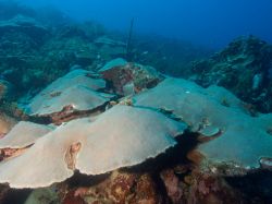 Playa_Canoa_20121013_006